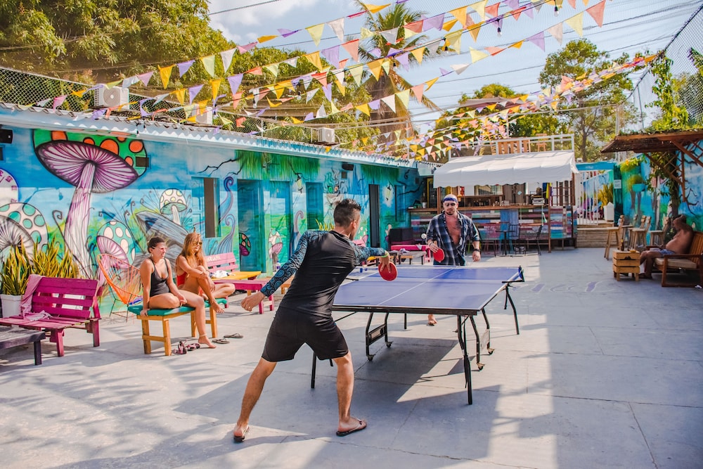Wonderland Party Hostel 46/51