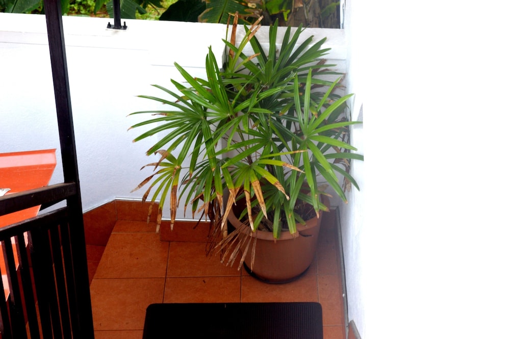 Shyni Tourist Guesthouse 13/17