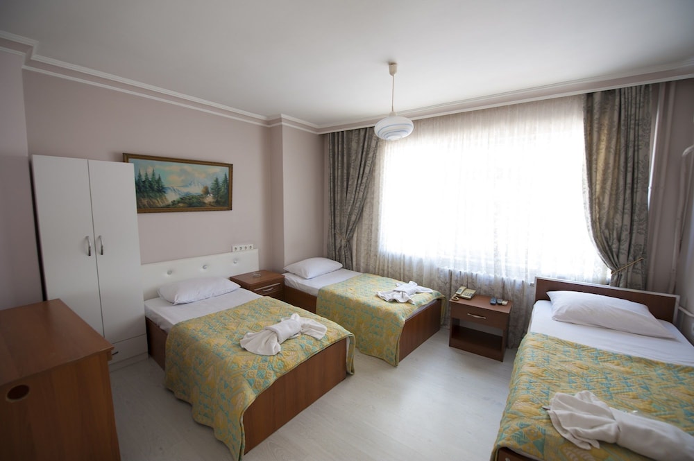 Grand Desi Hotel 9/50
