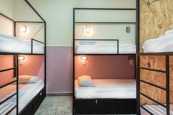 Female Dorm, Female Only, Comfort, 6 Beds