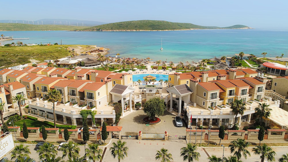 Cocos The Club Solto 77/80