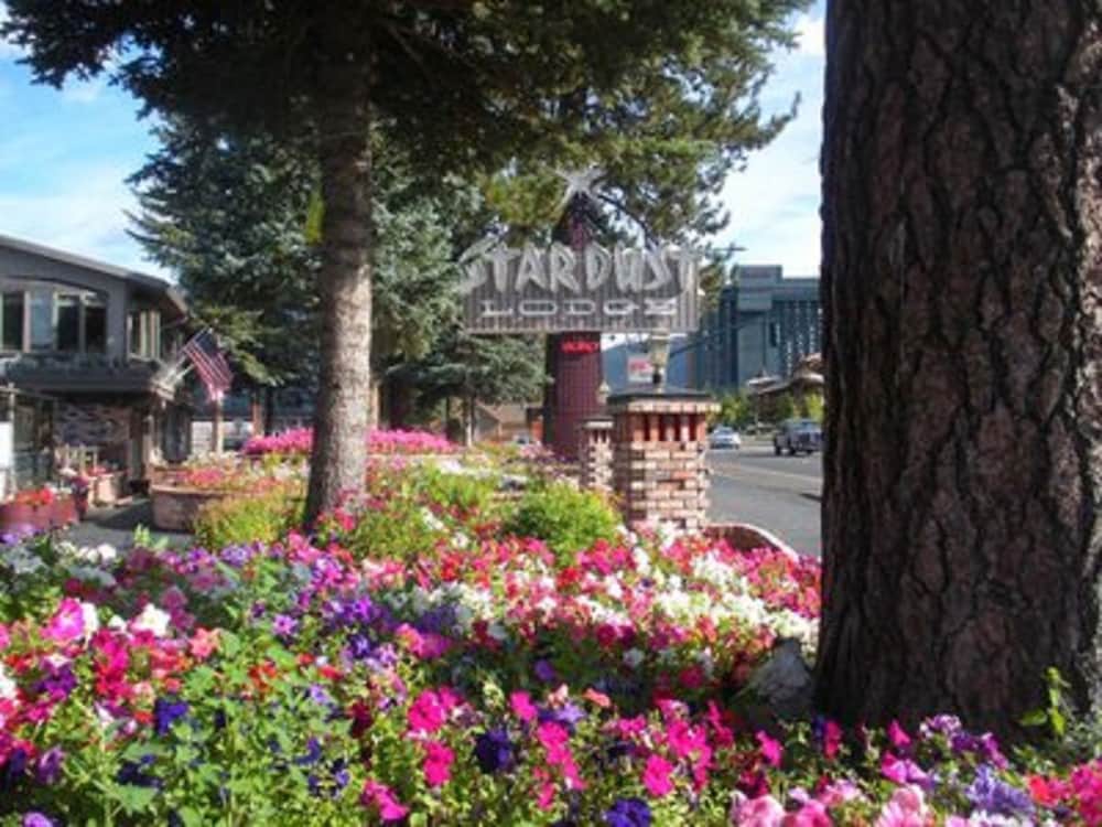 Stardust Lodge 23/30