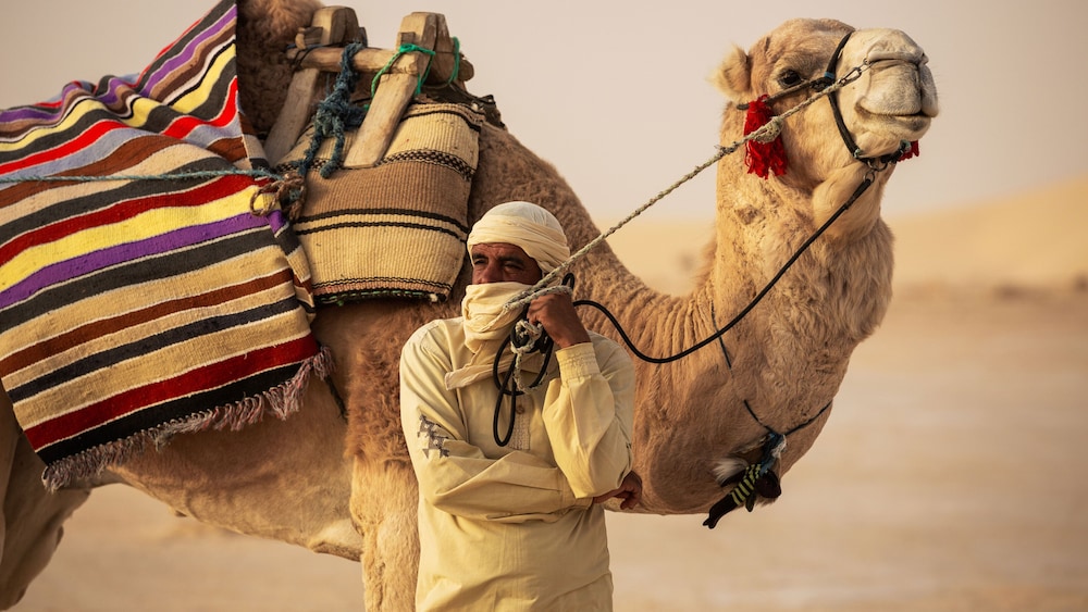 Sahara-Tozeur Resort & Villas 17/50