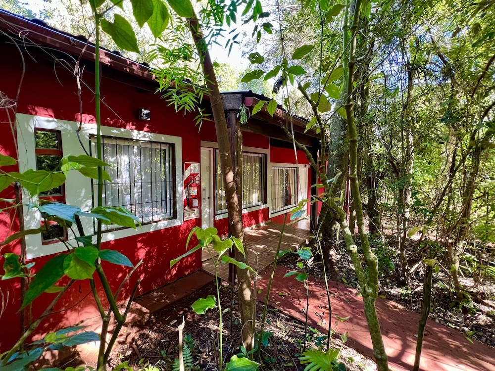 Rainforest de Selva Hotel 4/65