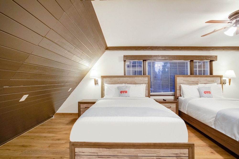 Arrowhead Tree Top Lodge 12/50