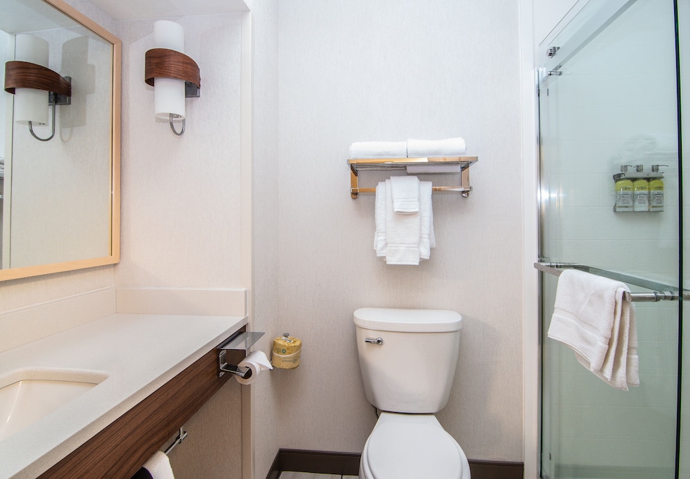 Holiday Inn Express Hotel & Suites Kalispell 21/77