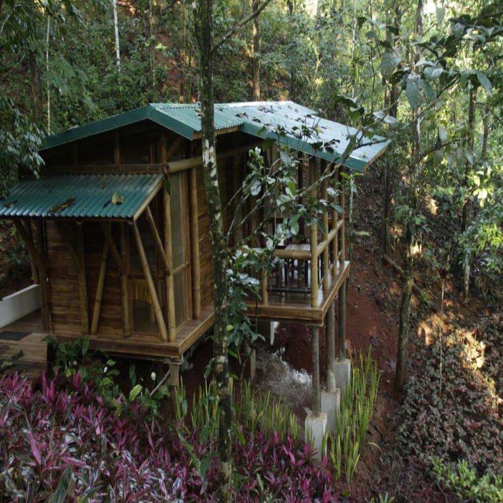 Macaw Lodge 8/64