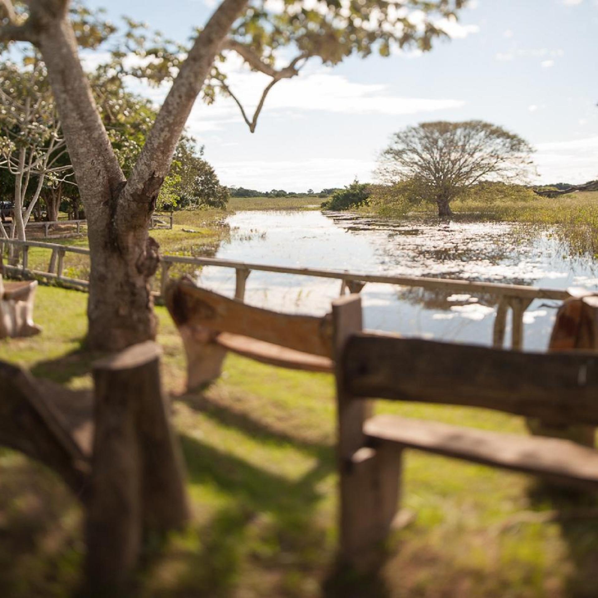 Pousada Araras Eco Lodge 33/50