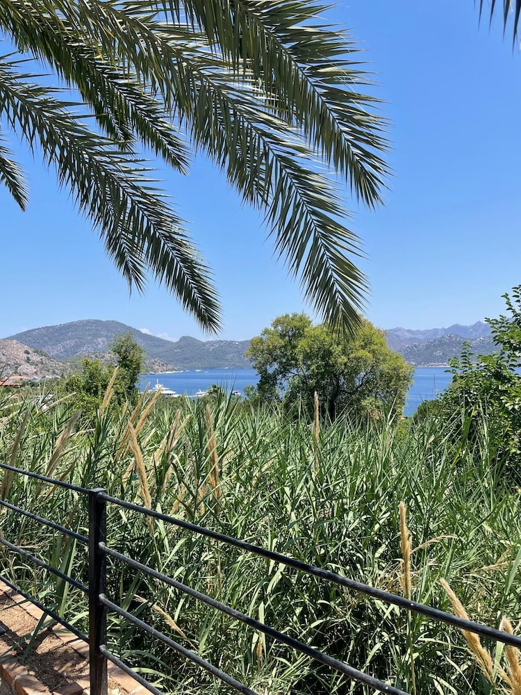 Gala Selimiye 45/50