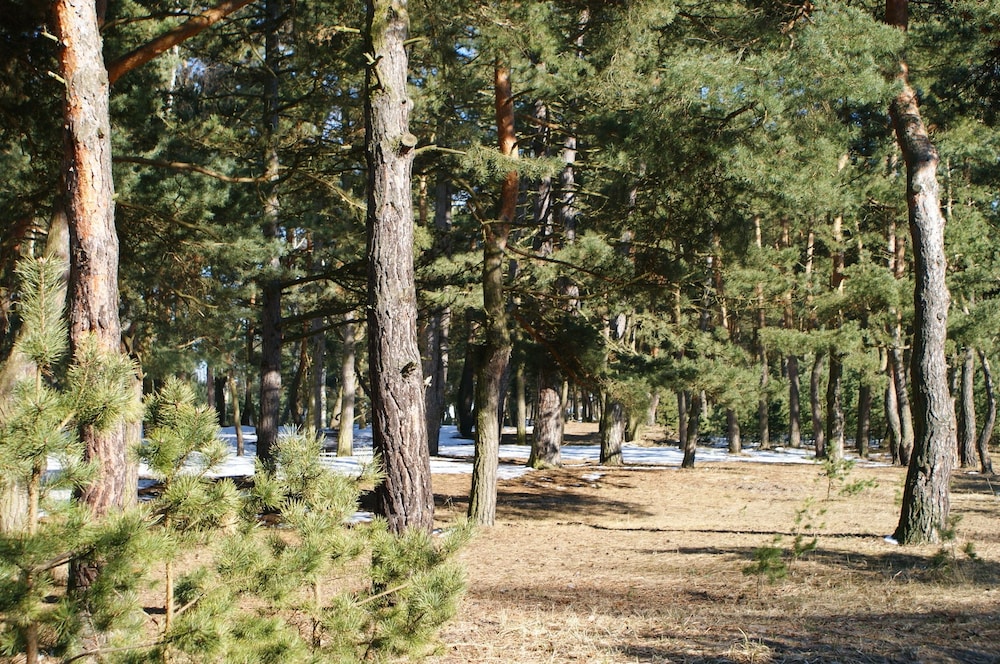 IRS ROYAL APARTMENTS - IRS Neptun Park 42/50