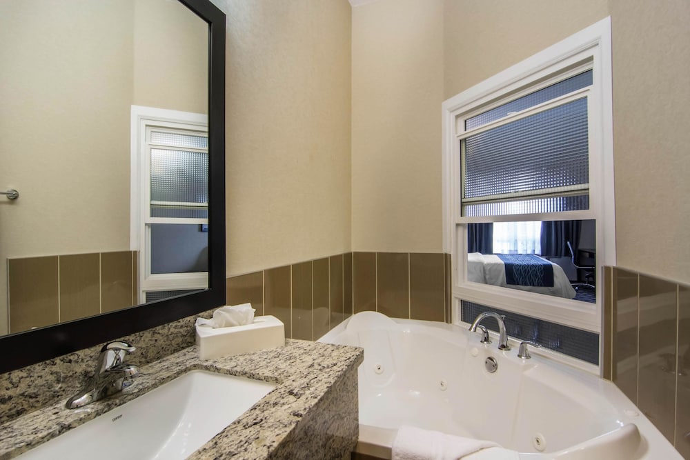 Comfort Inn & Suites Fort Saskatchewan 20/43
