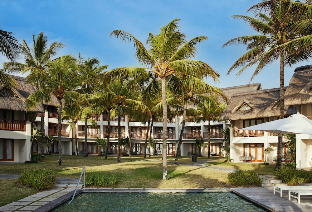 C Mauritius Palmar 45/50