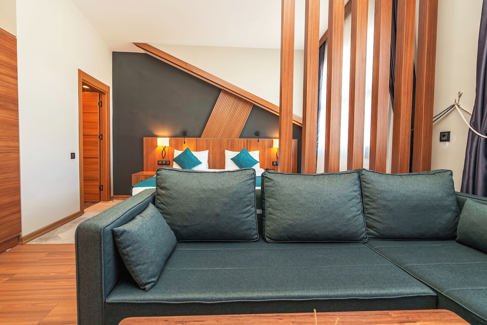 Library Hotel Erciyes 28/43