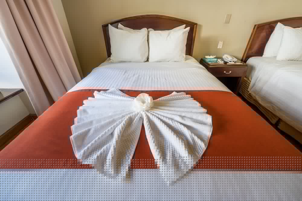 SAN CARLOS酒店(HOTEL SAN CARLOS) 图片5