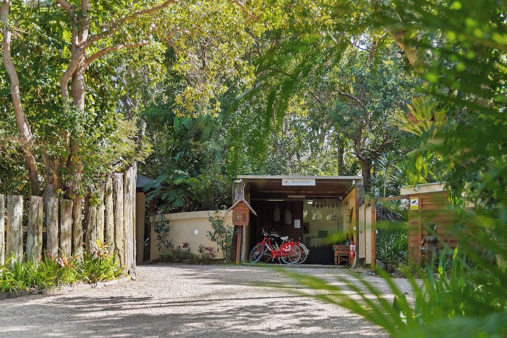 THE GARDEN BUREES 55/67