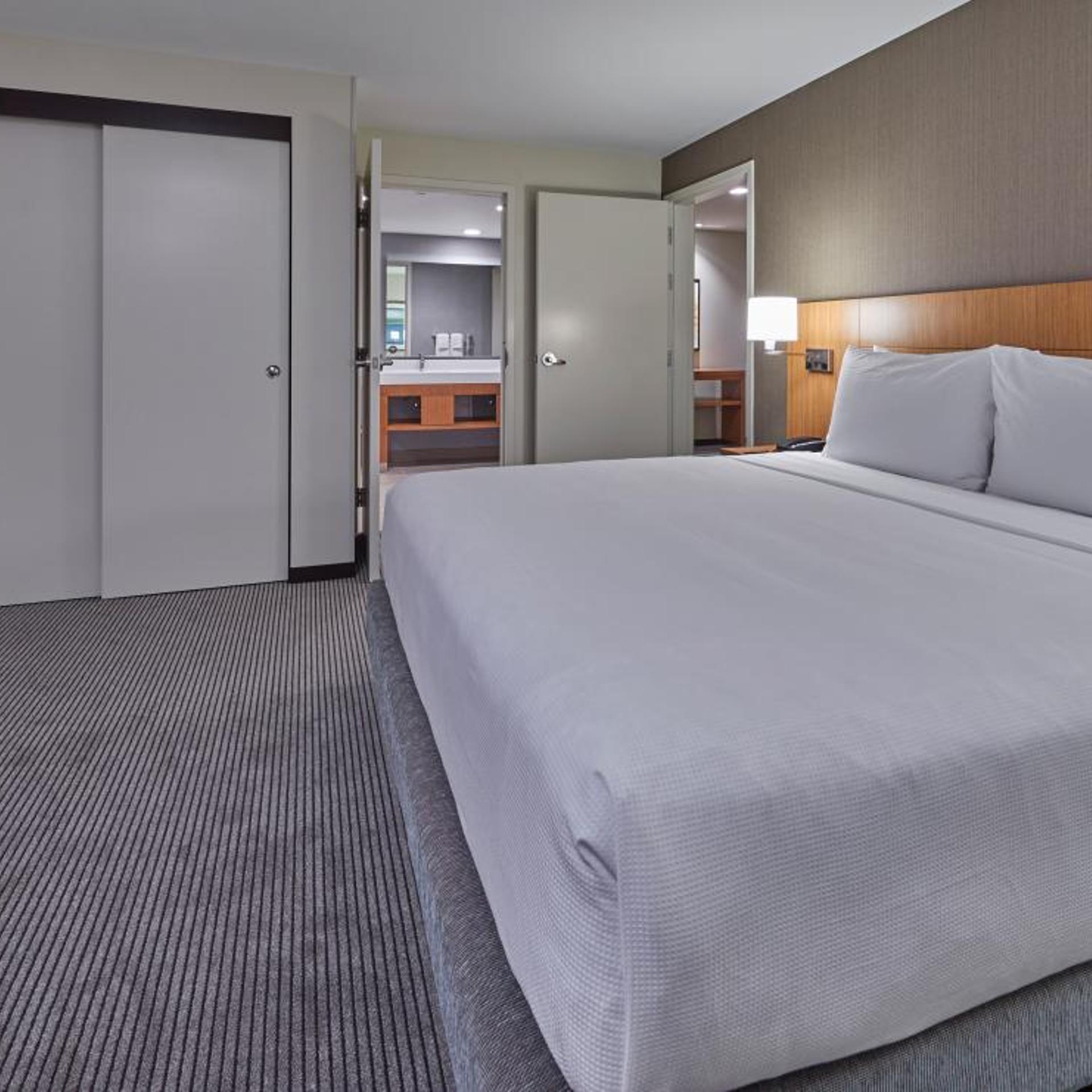 1 Bedroom, Suite, King Bed, Sofa
