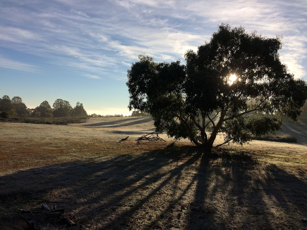 Grampians Pioneer Cottages 39/52