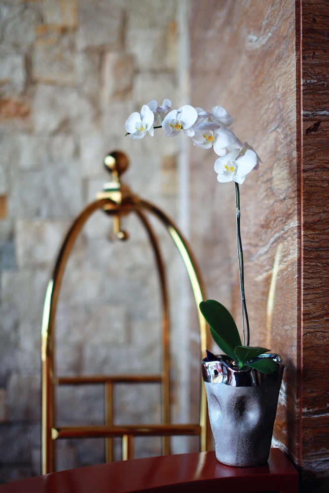 Mega Boutique Hotel And Spa 37/64