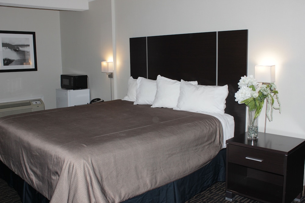 Ramada Plaza By Wyndham Niagara Falls 24/79