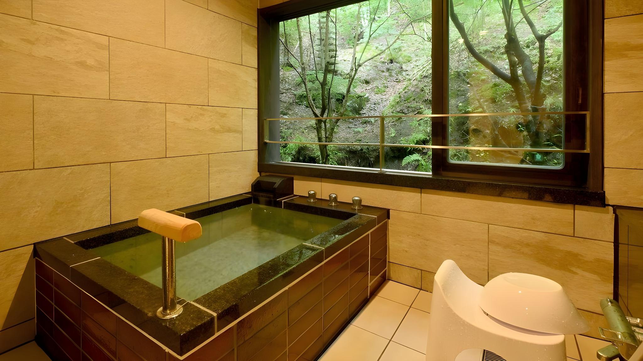 Standard, Twin Beds, Hot Spring Bath