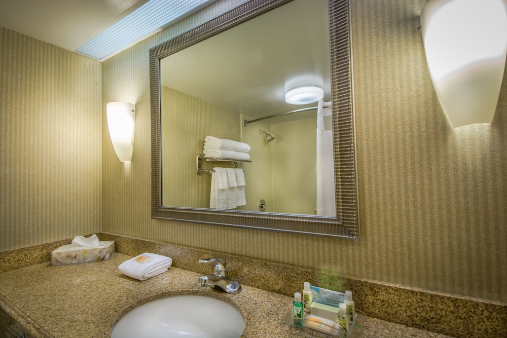 Holiday Inn Arlington at Ballston, an IHG Hotel 48/50