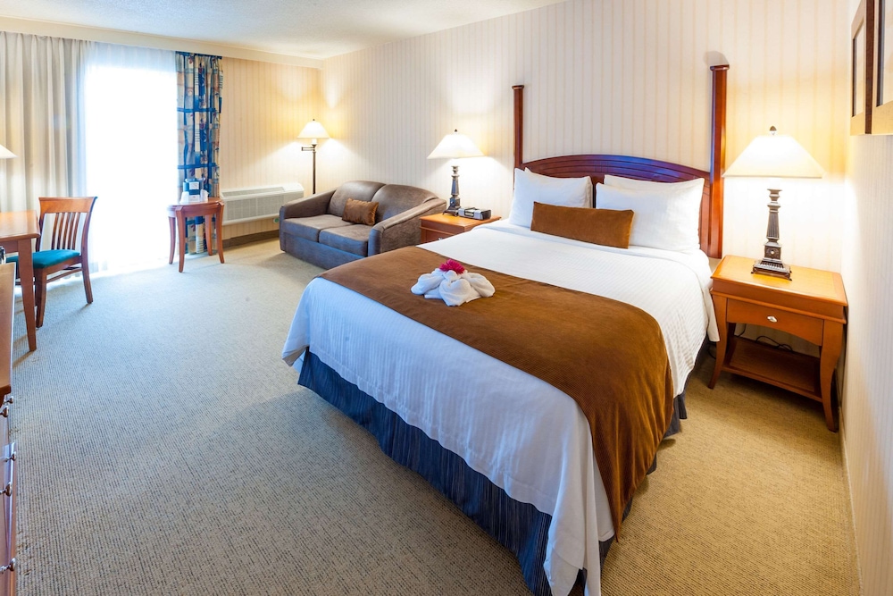 Pinestone Resort & Conference Centre 11/61