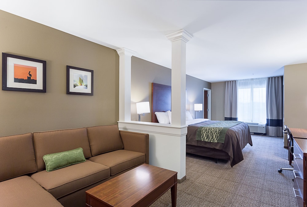 Comfort Inn & Suites Zachary, LA 11/41
