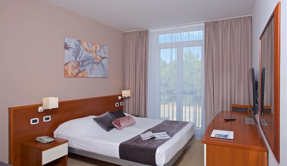 Arena Hotel Holiday 14/50