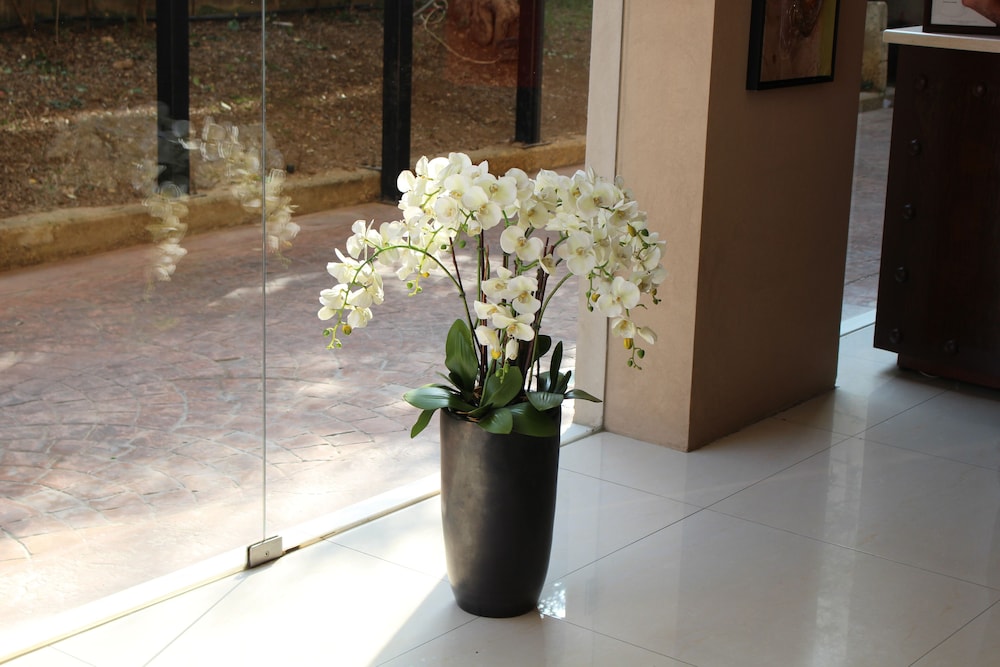 Jounieh Suites Boutique Hotel Jounieh 7/50