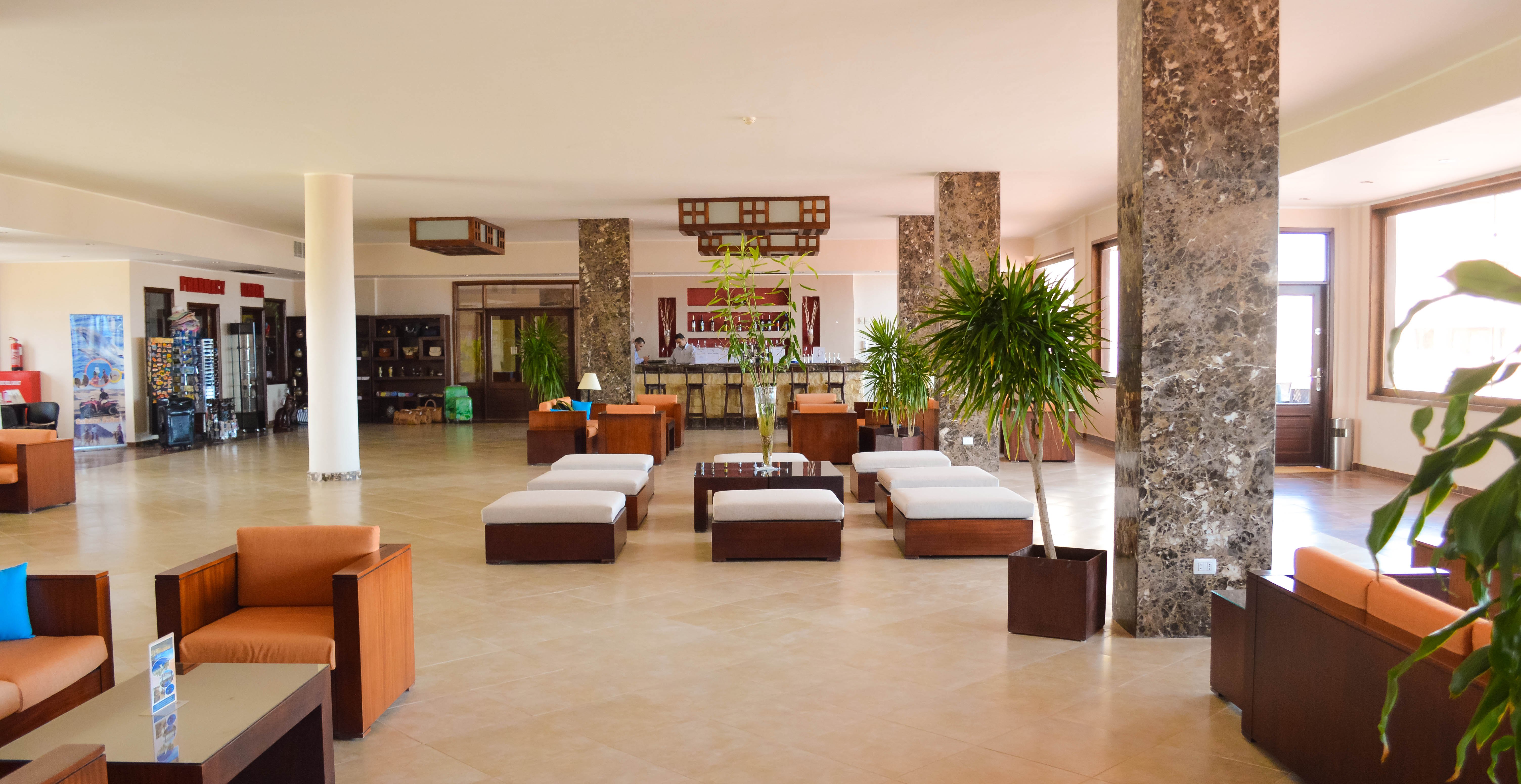 Viva Blue Resort and Diving Sharm El Naga - Adults Only (12 years and above) 26/54