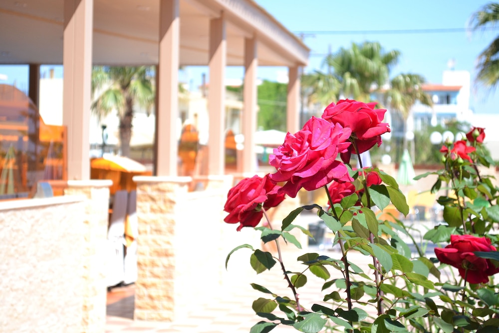 Hotel Palladion by Anayia All Inclusive Resorts 59/61