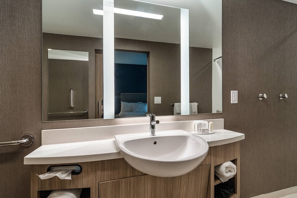 SpringHill Suites by Marriott Charleston Airport & Convention Center 21/43