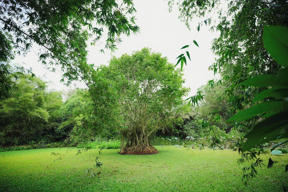 Red Earth Kabini 44/49