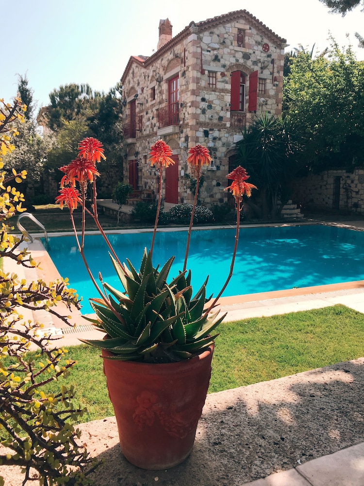 Alacati Zeytin Konak Hotel 46/50