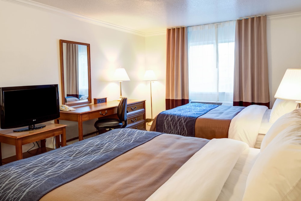 Best Western Paradise Hotel 21/44