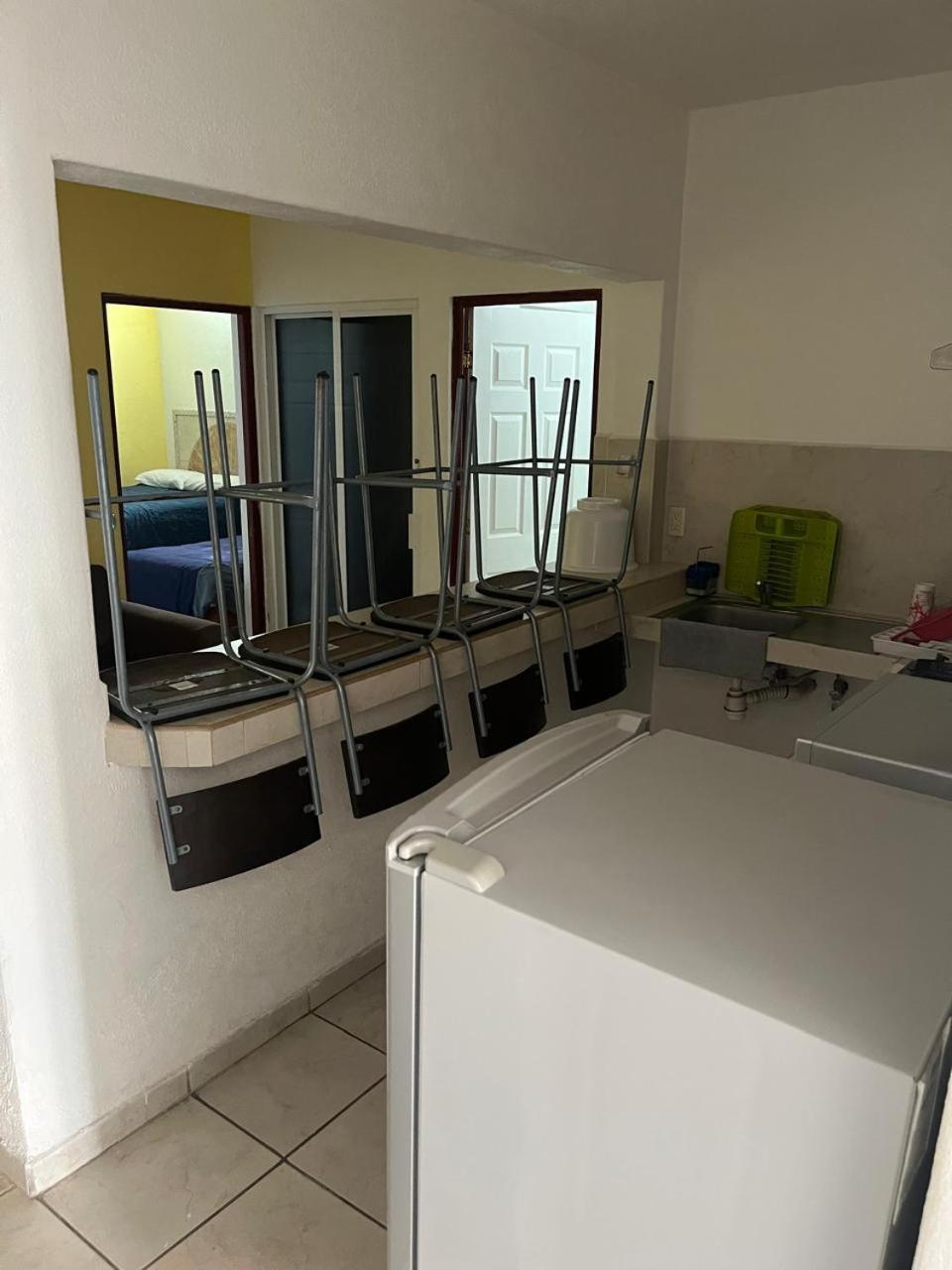 Hotel Albatros Palace 19/24