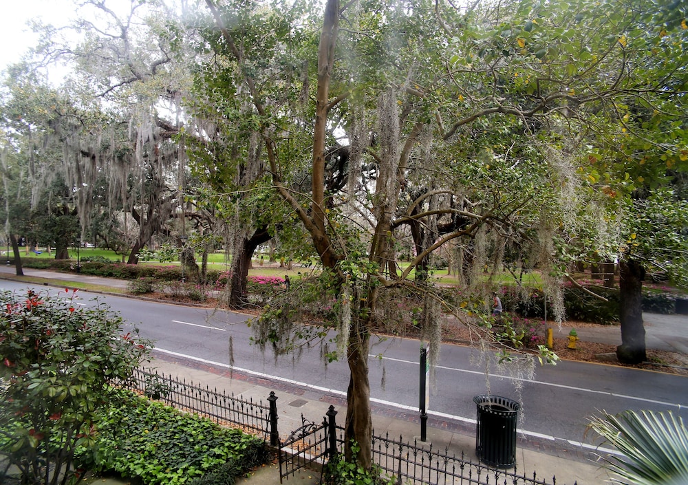 Forsyth Park Inn 38/50