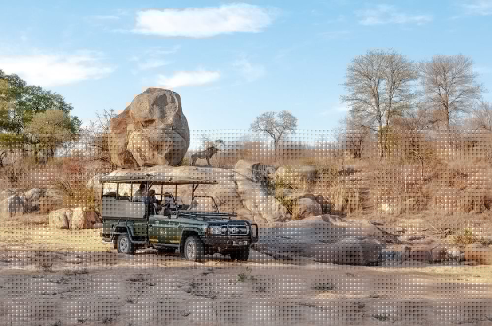 Jock Safari Lodge 5/56