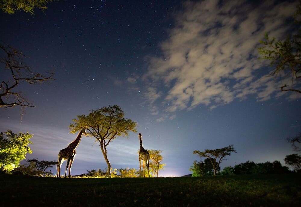 Likweti Lodge 35/45