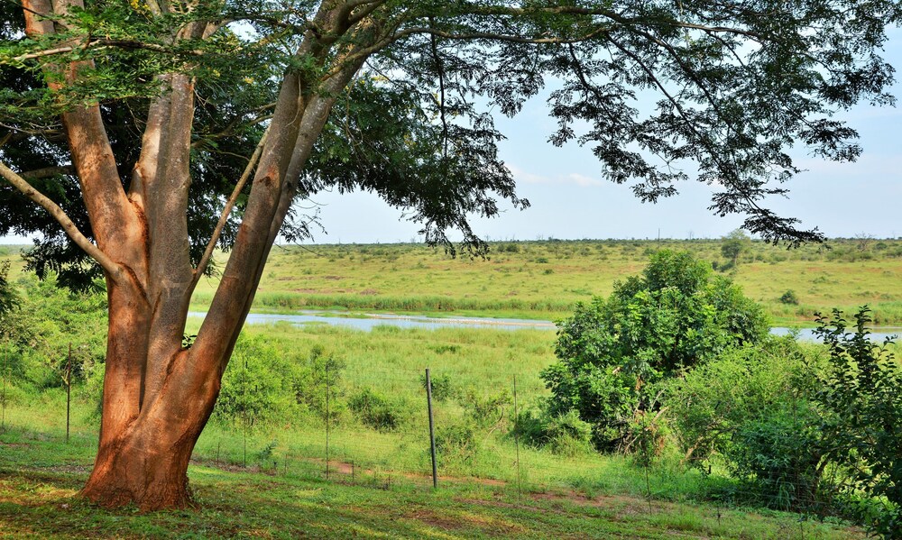 Elephant Walk Retreat 39/50