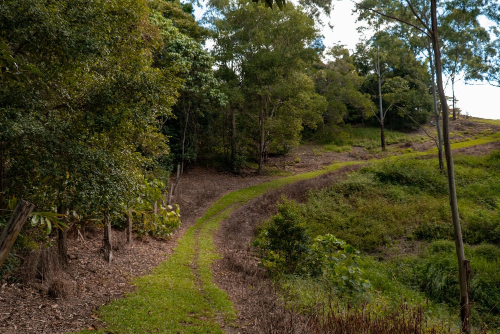 Whispering Valley Cottage Retreat 43/50