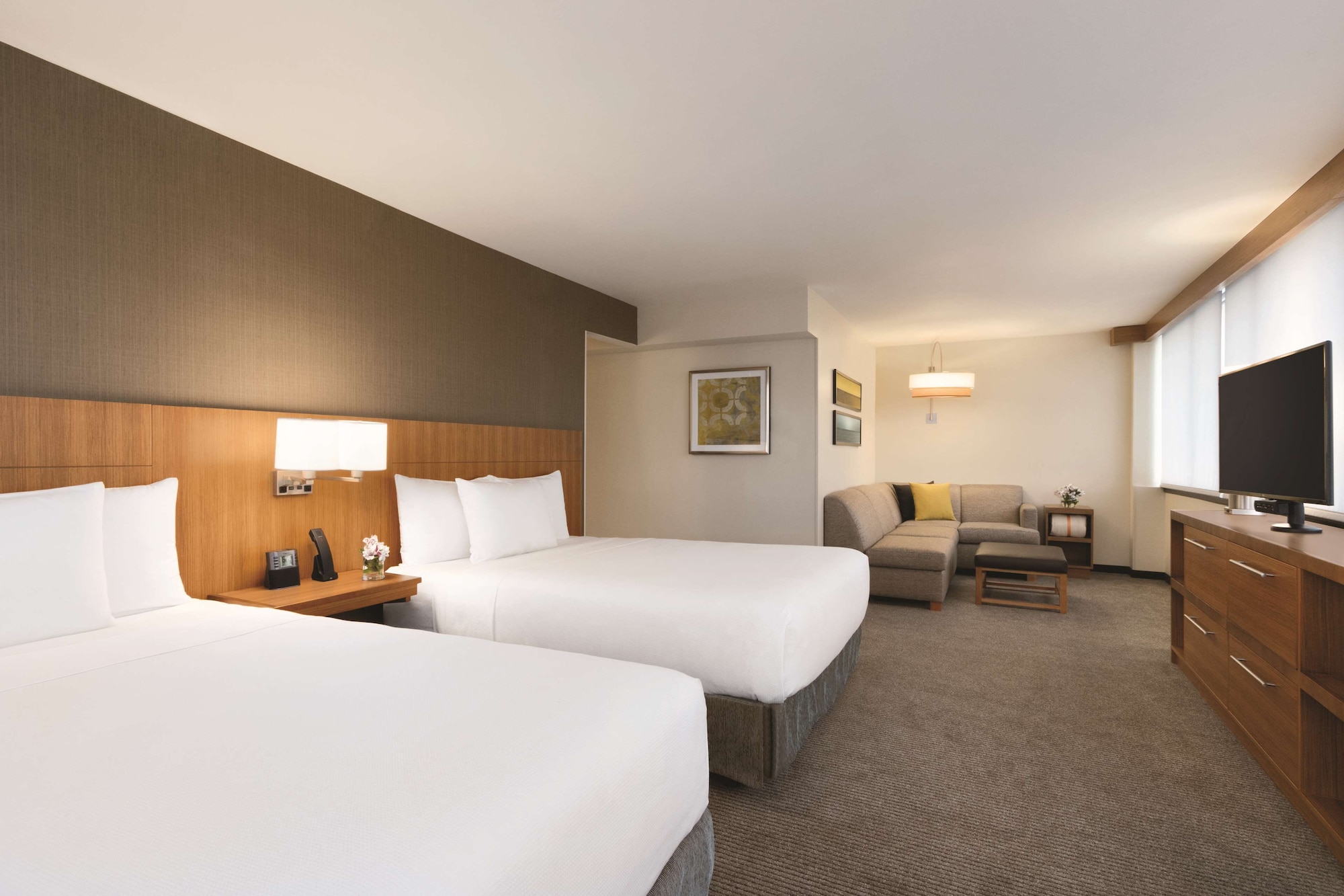 STANDARD, MULTIPLE BEDS