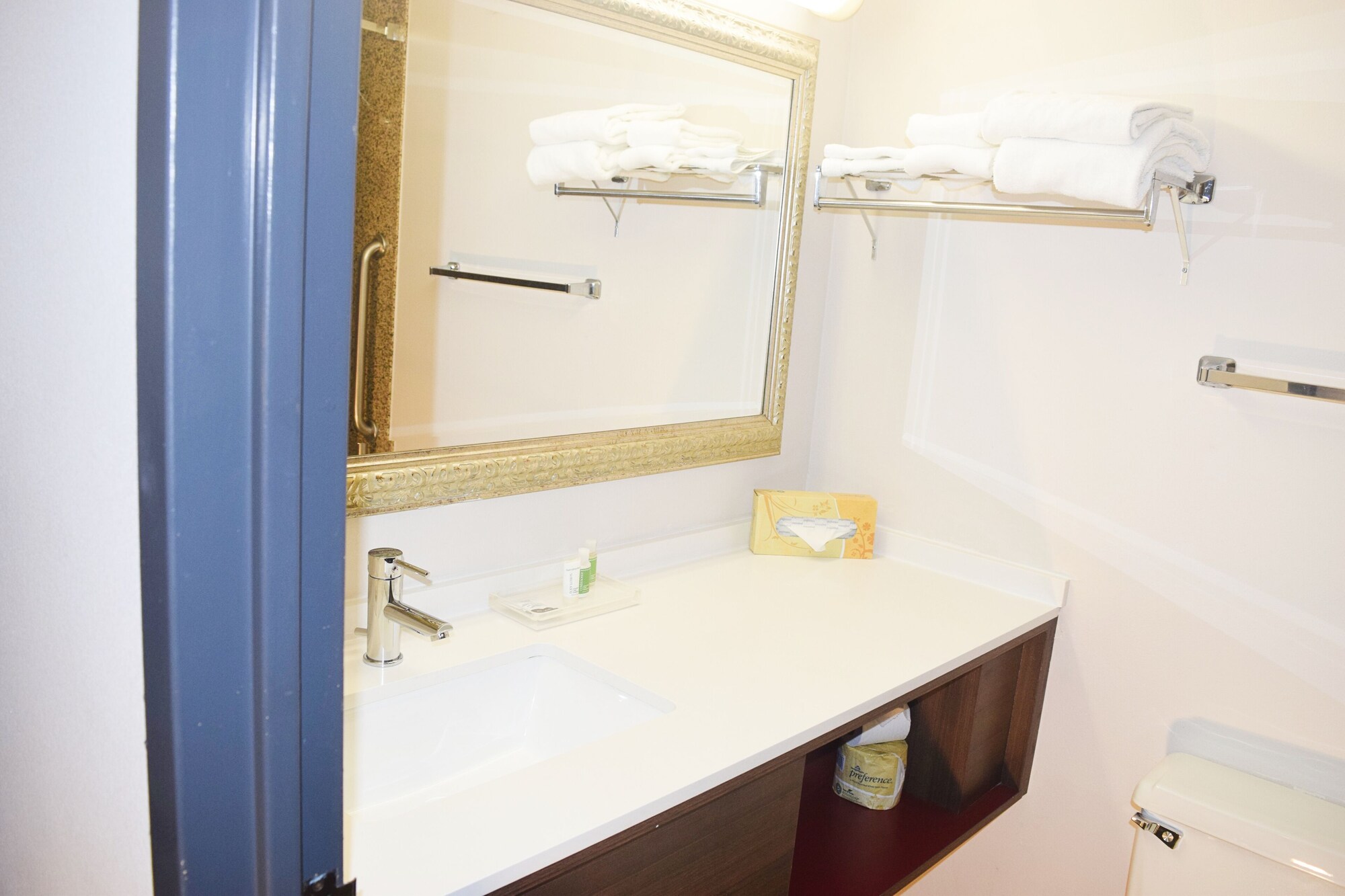 Standard, Single Bed, Holiday Inn Great Falls 2/3