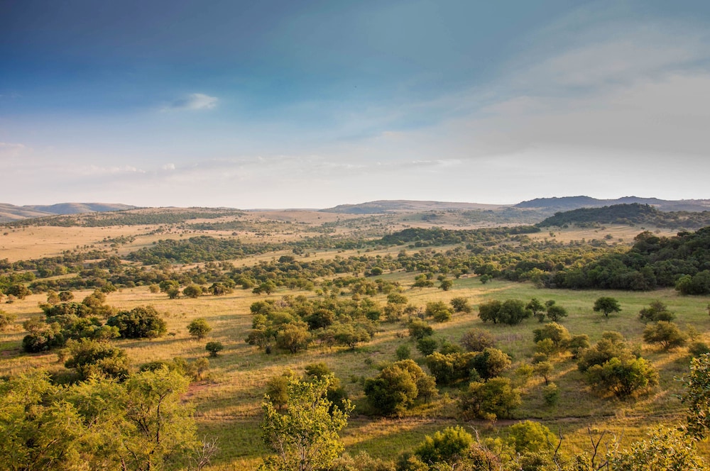B'sorah Luxury Tented Camp 7/13
