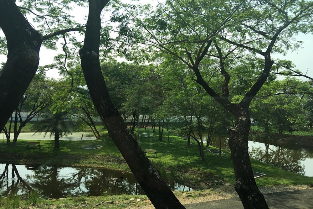 Green At Buriram 36/50