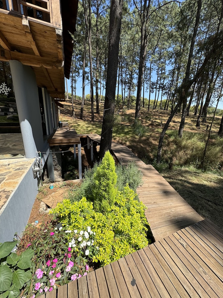 PINE TREE Hotel Boutique and Cabanas 49/56