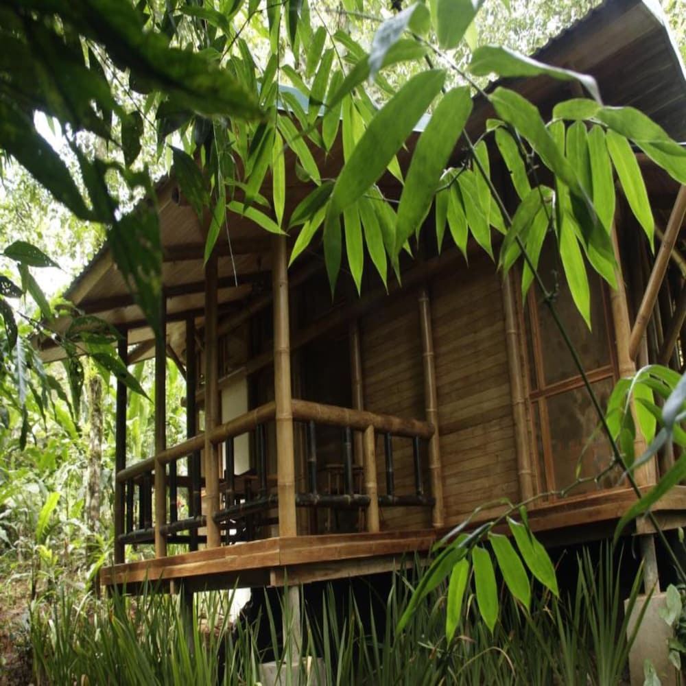 Macaw Lodge 6/64