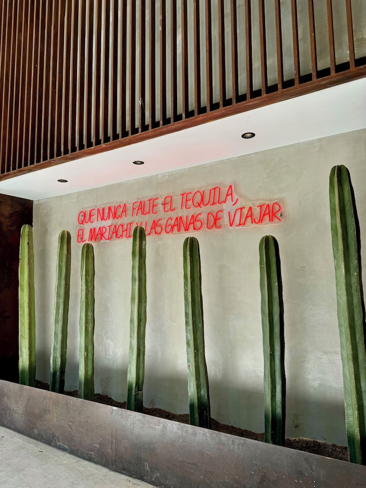 Hotel Alo Degollado 写真2