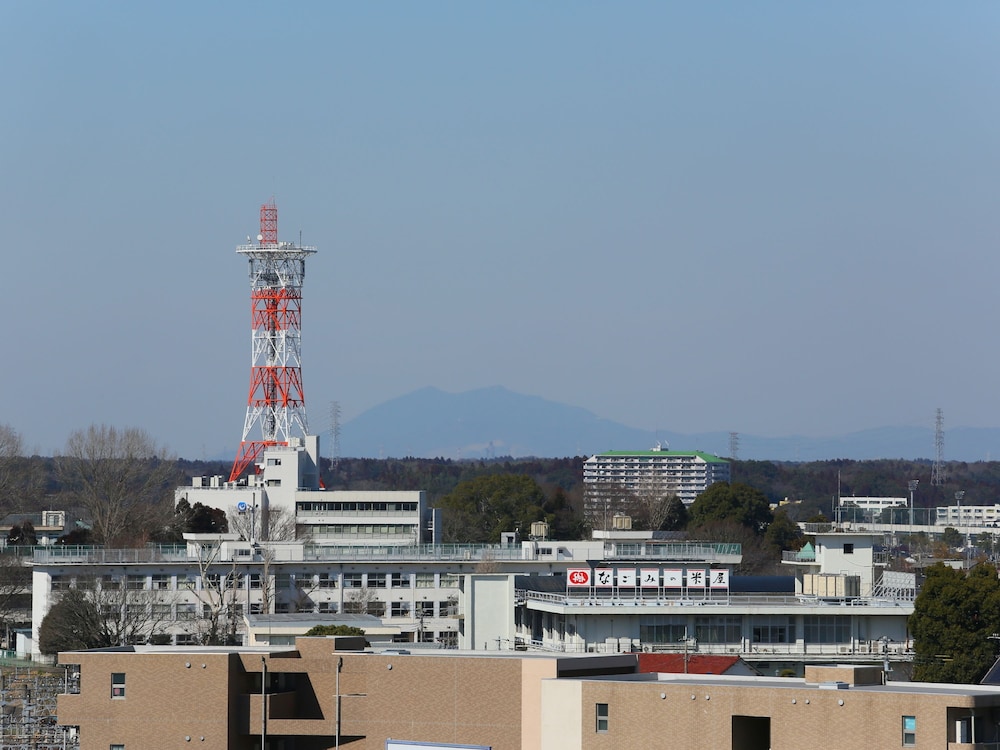 Apa Hotel Keiseinarita Ekimae 65/71