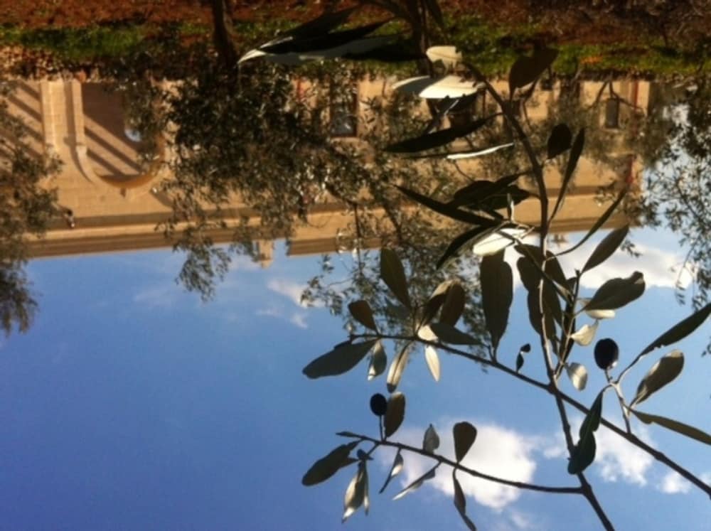 Agriturismo Masseria San Leonardo 9/22